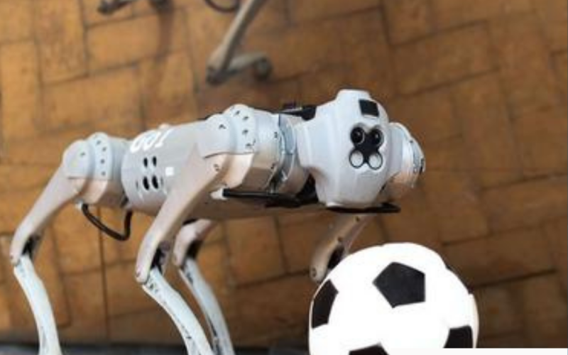 Unik, Robot Berkaki Empat Bernama DribbleBot Bisa Giring Bola Sepak